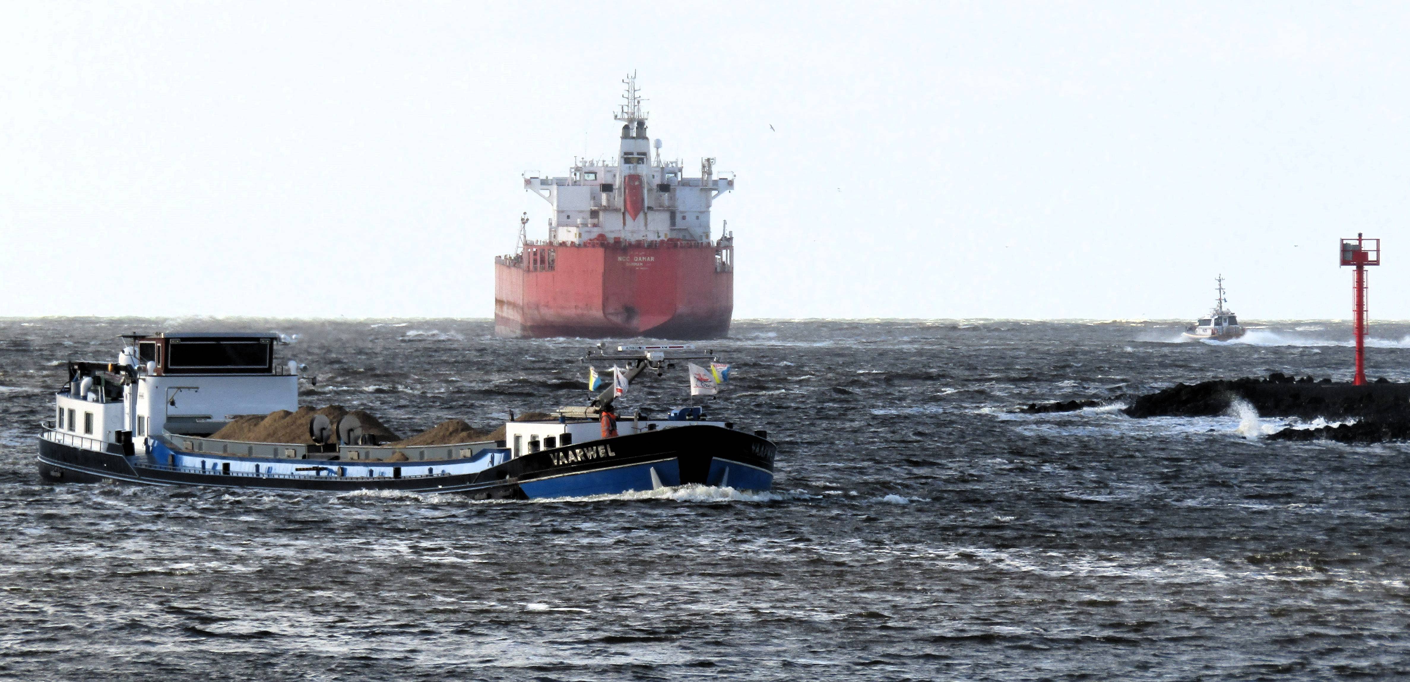Pieren IJmuiden   15-11-23 